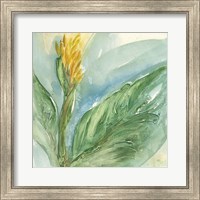 Framed 'Exotic Flower II' border=