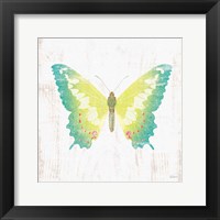 Framed 'White Barn Butterflies III' border=