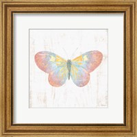 Framed 'White Barn Butterflies I' border=