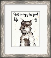 Framed 'Strike a Paws XIV' border=