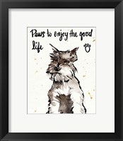 Framed 'Strike a Paws XIV' border=