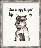 Framed 'Strike a Paws XIV' border=