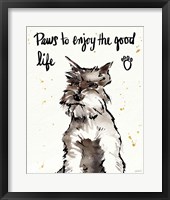 Framed 'Strike a Paws XIV' border=