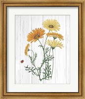 Framed 'Botanical Bouquet on Wood I' border=