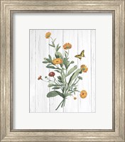 Framed 'Botanical Bouquet on Wood IV' border=