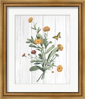 Framed 'Botanical Bouquet on Wood IV' border=