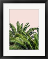 Tropical Leaves on Blush II Framed Print