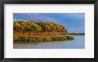 Framed Sundown by the Lake