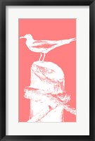 Framed Perching Seabird I