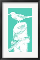 Framed Perching Seabird II