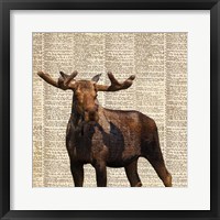 Country Moose I Framed Print