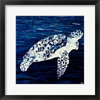 Swim Along II Framed Print