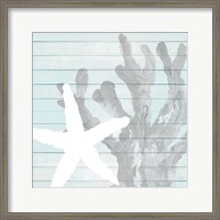 Framed 'Starfish on Blue Wood' border=