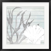 Seashell on Blue Wood Framed Print