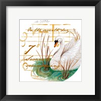 Seven Swans a-Swimming Framed Print