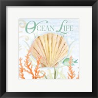 Framed 'Ocean Life' border=