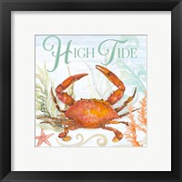 Framed 'High Tide' border=