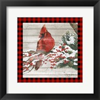Winter Red Bird III Framed Print