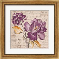 Framed 'Lilac Beauty II' border=