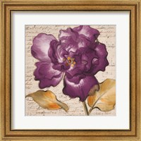 Framed 'Lilac Beauty I' border=