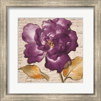 Framed 'Lilac Beauty I' border=