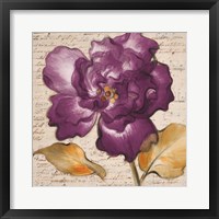 Framed Lilac Beauty I