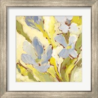 Framed 'Begonia Bleu I' border=