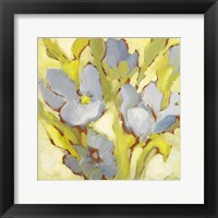 Begonia Bleu II Framed Print
