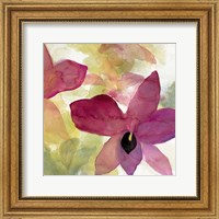 Framed Beautiful and Peace Orchid II