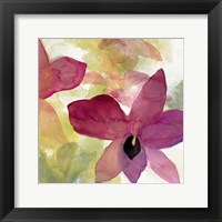 Beautiful and Peace Orchid II Framed Print