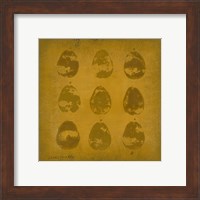 Framed 'All Lined Up- Pears' border=