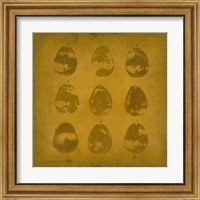 Framed 'All Lined Up- Pears' border=