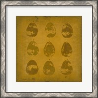 Framed 'All Lined Up- Pears' border=