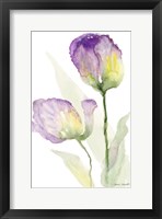 Framed Teal and Lavender Tulips II