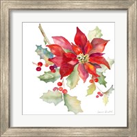 Framed 'Poinsettias II' border=