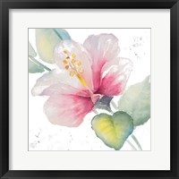 Framed 'Fragrant Hibiscus II' border=