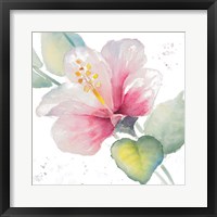 Framed Fragrant Hibiscus II