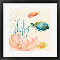 Tropical Teal Coral Medley II Framed Print