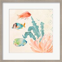 Framed 'Tropical Teal Coral Medley I' border=