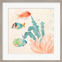 Framed Tropical Teal Coral Medley I