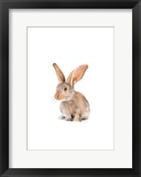 Meadow Buddy II Framed Print