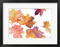 Harvest Leaves I Framed Print