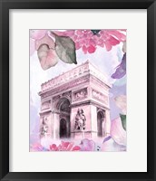 Parisian Blossoms II Framed Print