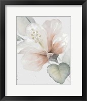 Neutral Hibiscus II Framed Print