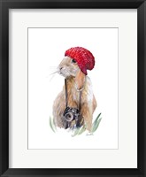 Modern Bunny I Framed Print