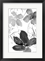 Into Summer Black And White II Framed Print