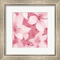 Framed 'Blooming Pink Whispers I' border=