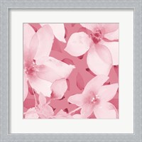 Framed 'Blooming Pink Whispers I' border=