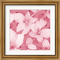 Framed 'Blooming Pink Whispers II' border=