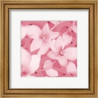 Framed 'Blooming Pink Whispers II' border=